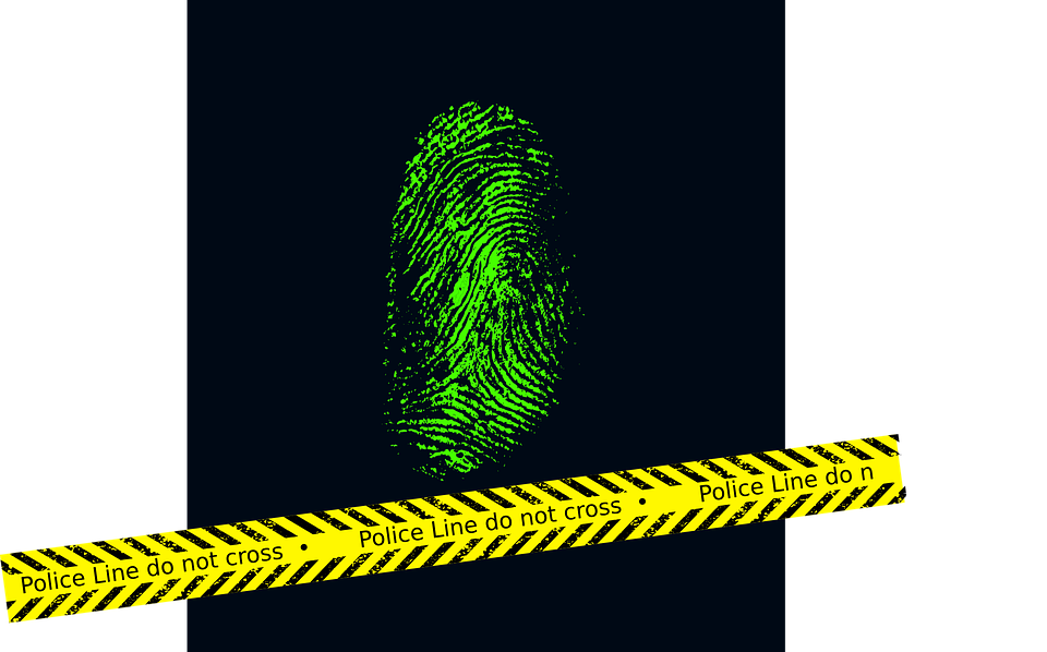 investigations-forensics